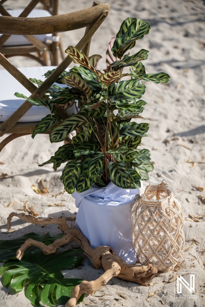 Wedding setup at Playa Hunku in Curacao features decorations and plants