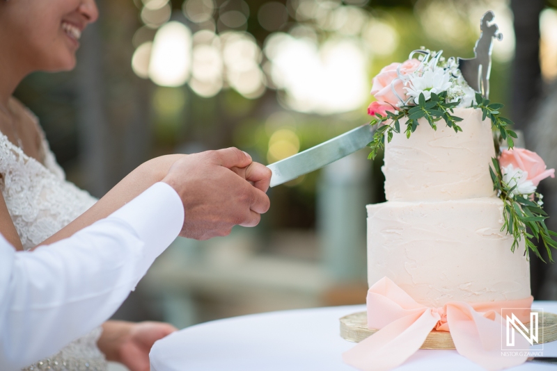 Cake cutting