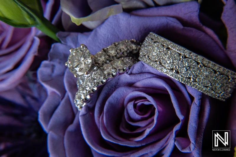 Beautiful engagement and wedding rings placed on delicate purple roses, showcasing intricate designs and sparkling diamonds, captured in soft natural light