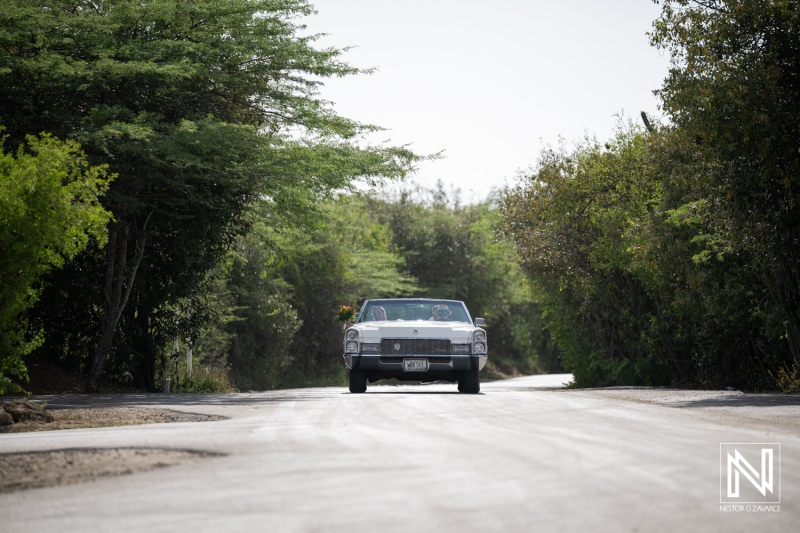 Wedding celebration on Daaibooi Beach Curacao with classic car driving down a tree-lined road
