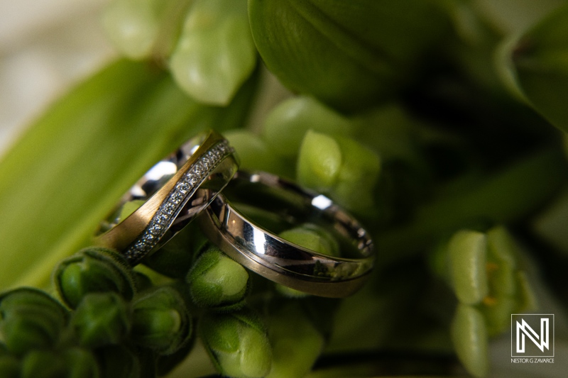 Elegant wedding rings resting on green foliage, symbolizing love and commitment in a natural setting during a romantic moment