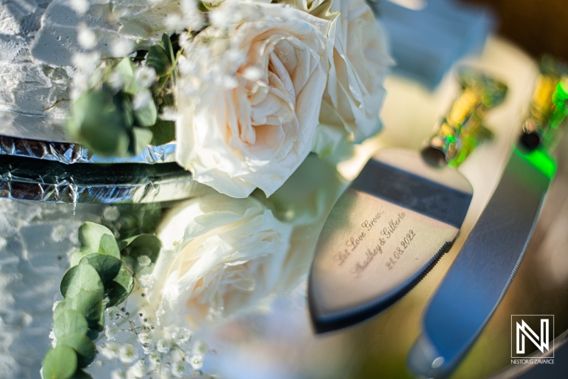 Wedding cake knifes
