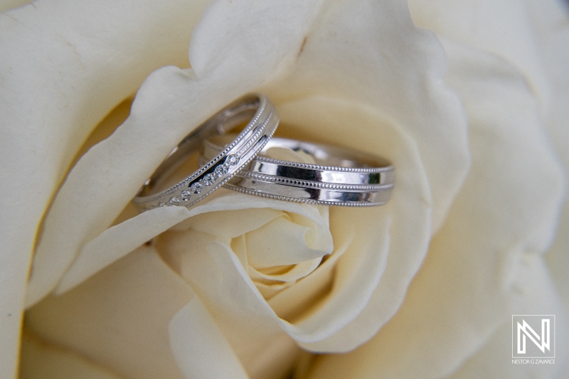 Elegant wedding rings placed on a white rose at a tropical wedding ceremony in Playa Hunku, Curacao during the afternoon light