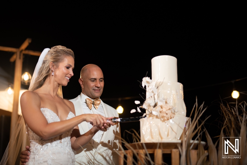 bride and groom cutting the cake
