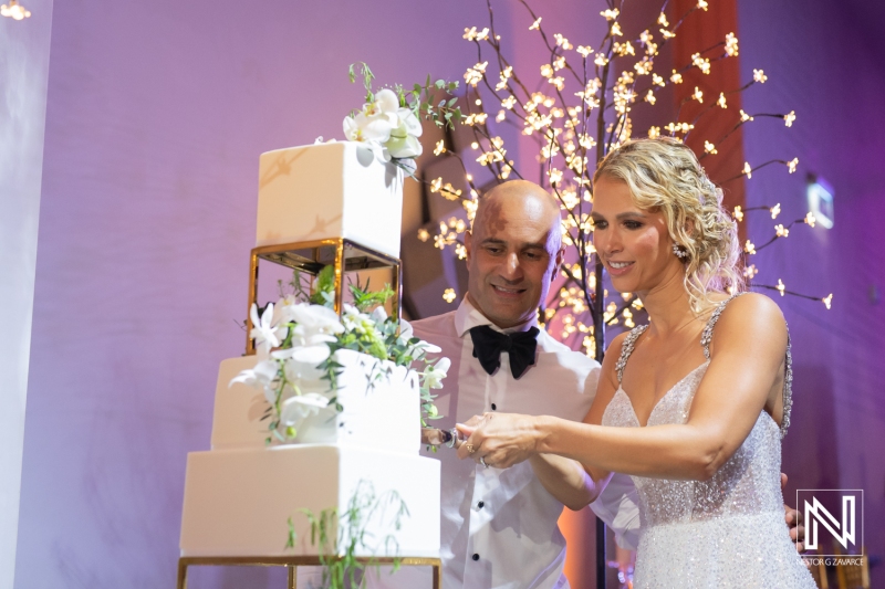 bride and groom cutting the cake