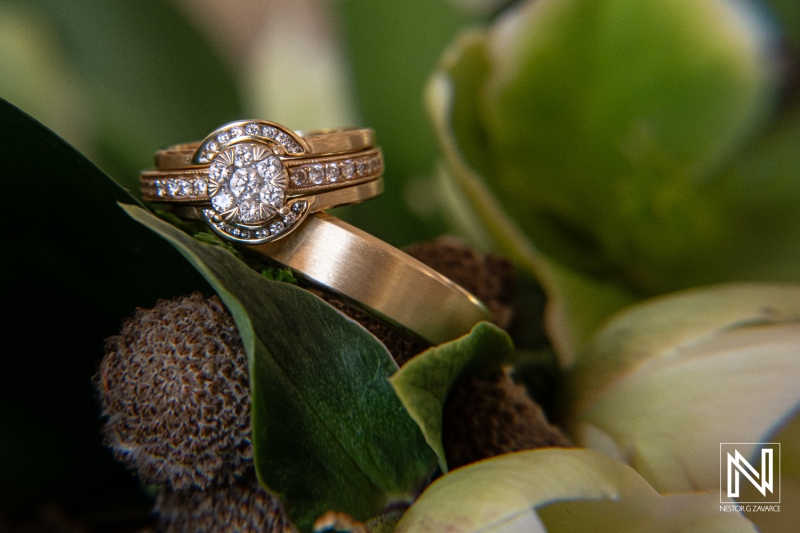 Elegant Wedding Rings Resting Amidst Green Foliage in a Serene Outdoor Setting, Symbolizing Love and Commitment