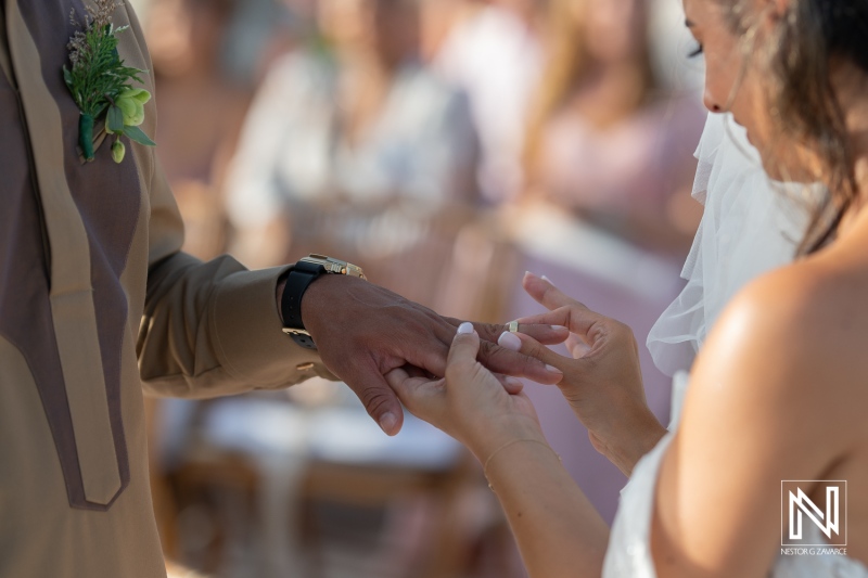 A Joyful Couple Exchanges Wedding Rings During a Sunny Outdoor Ceremony Surrounded by Friends and Family, Capturing a Moment of Love and Commitment