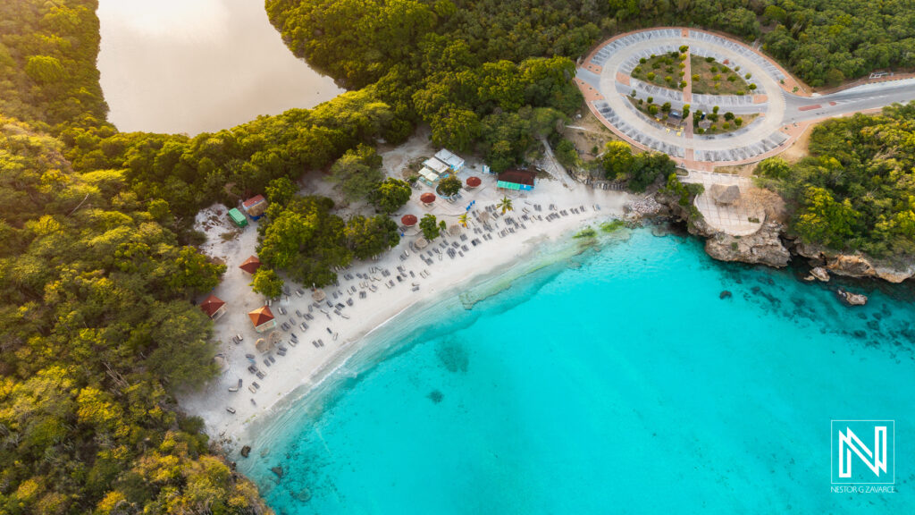 GROTE KNIP (KENEPA GRANDI)